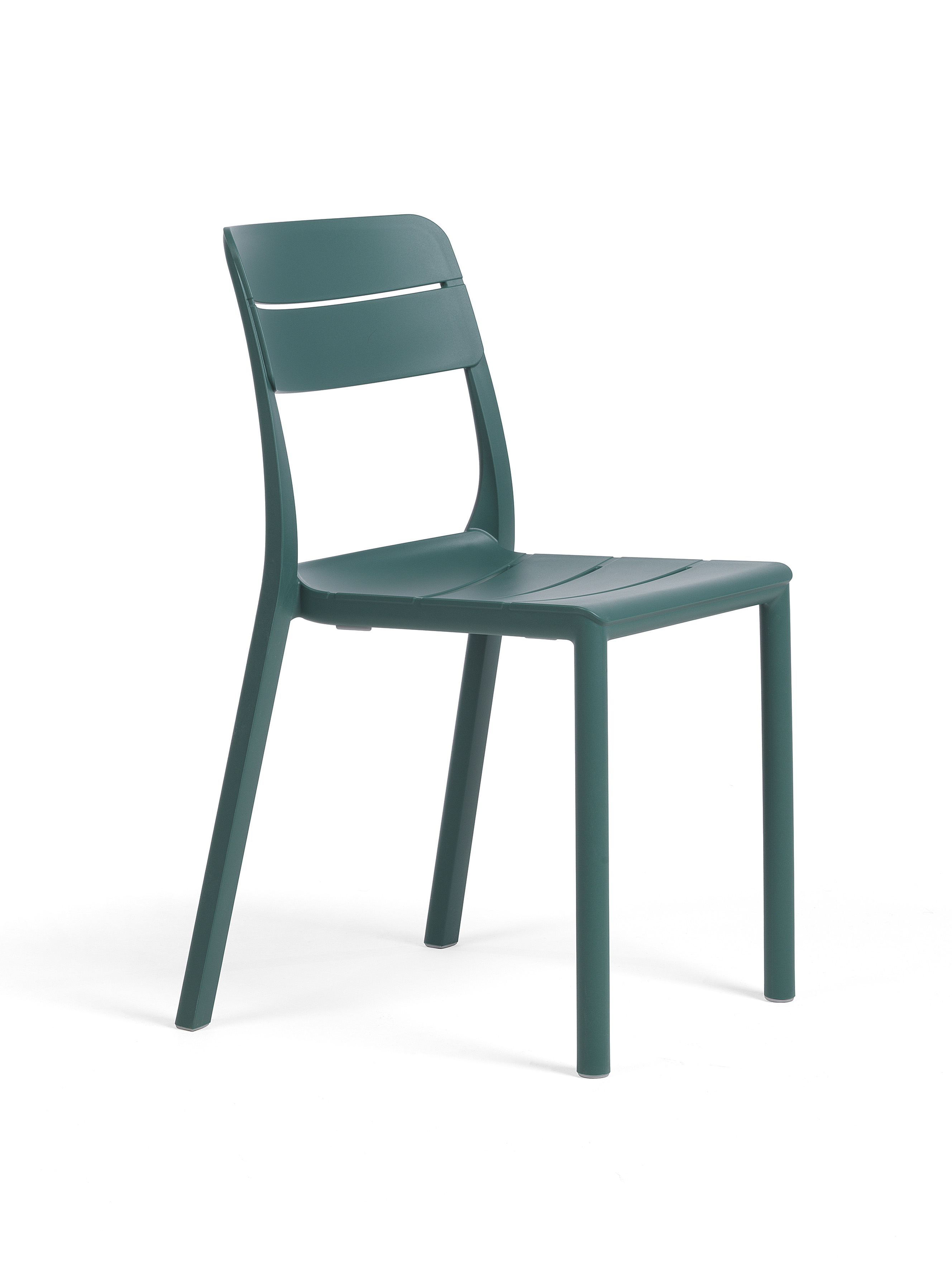 Nardi_CassiaBIS_maya